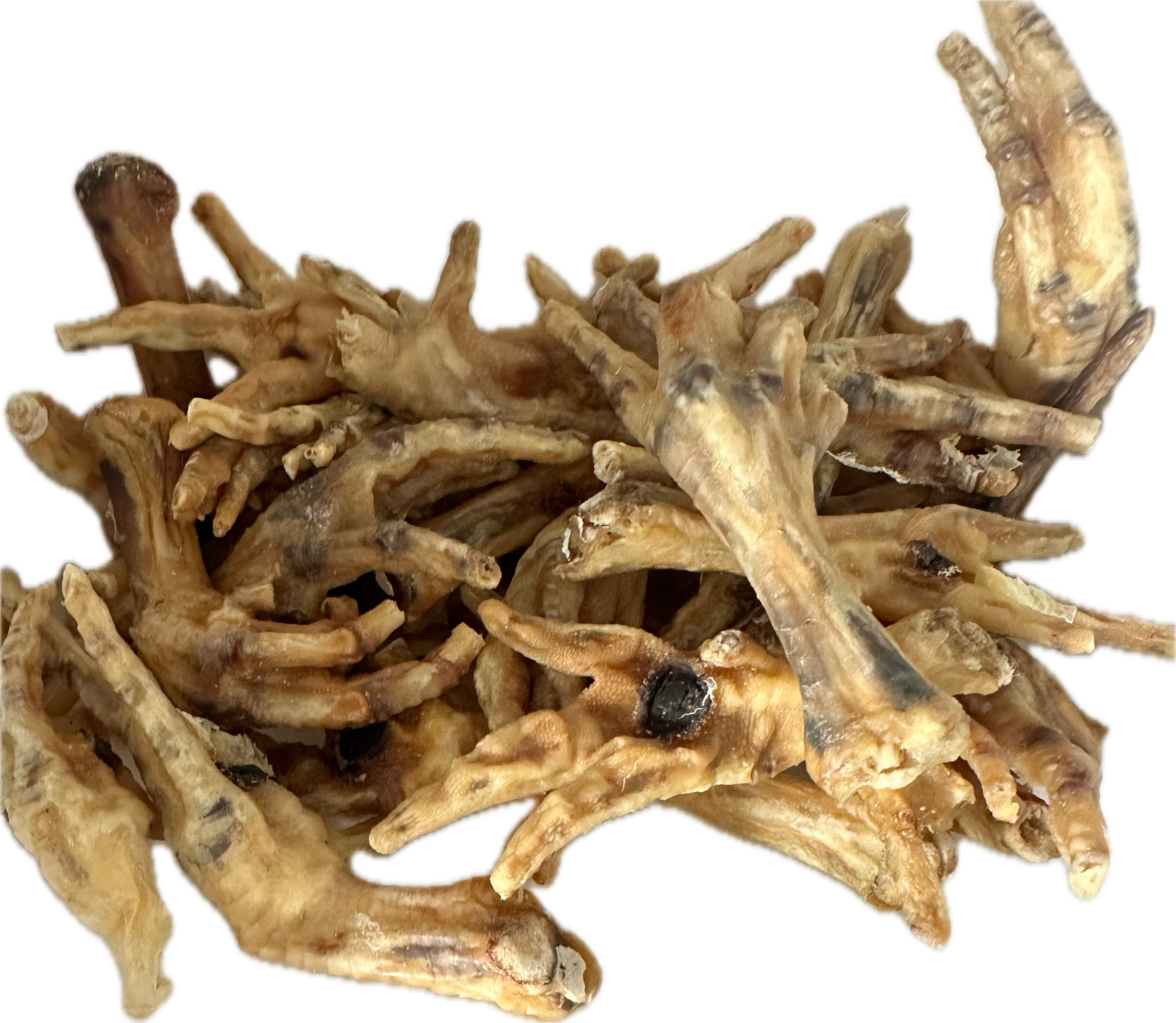 Duck Feet (pack of 10) natural dog treat