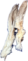 Rabbit ears, pack of 10
