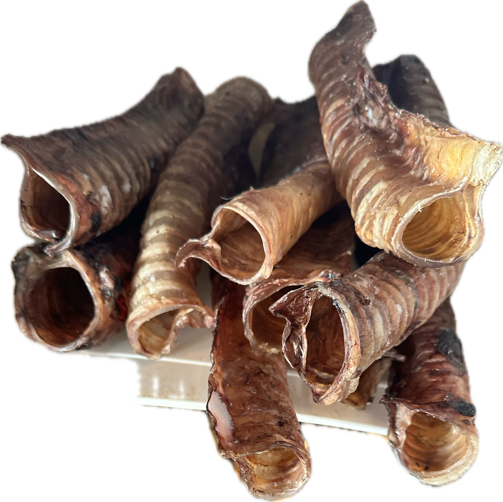 Beef Trachea