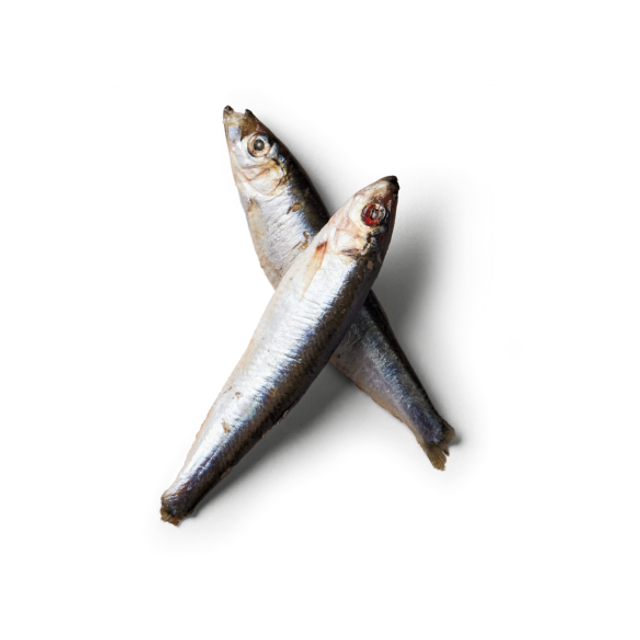 Nutriment Sprats natural dog treat