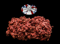 DIBO The Dog's Butcher Purely Ox 1kg Tray raw dog food