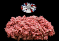 DIBO The Dog's Butcher Purely Turkey 1kg Tray raw dog food
