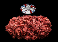 DIBO The Dog's Butcher Ox with Chicken 1kg Tray raw dog food