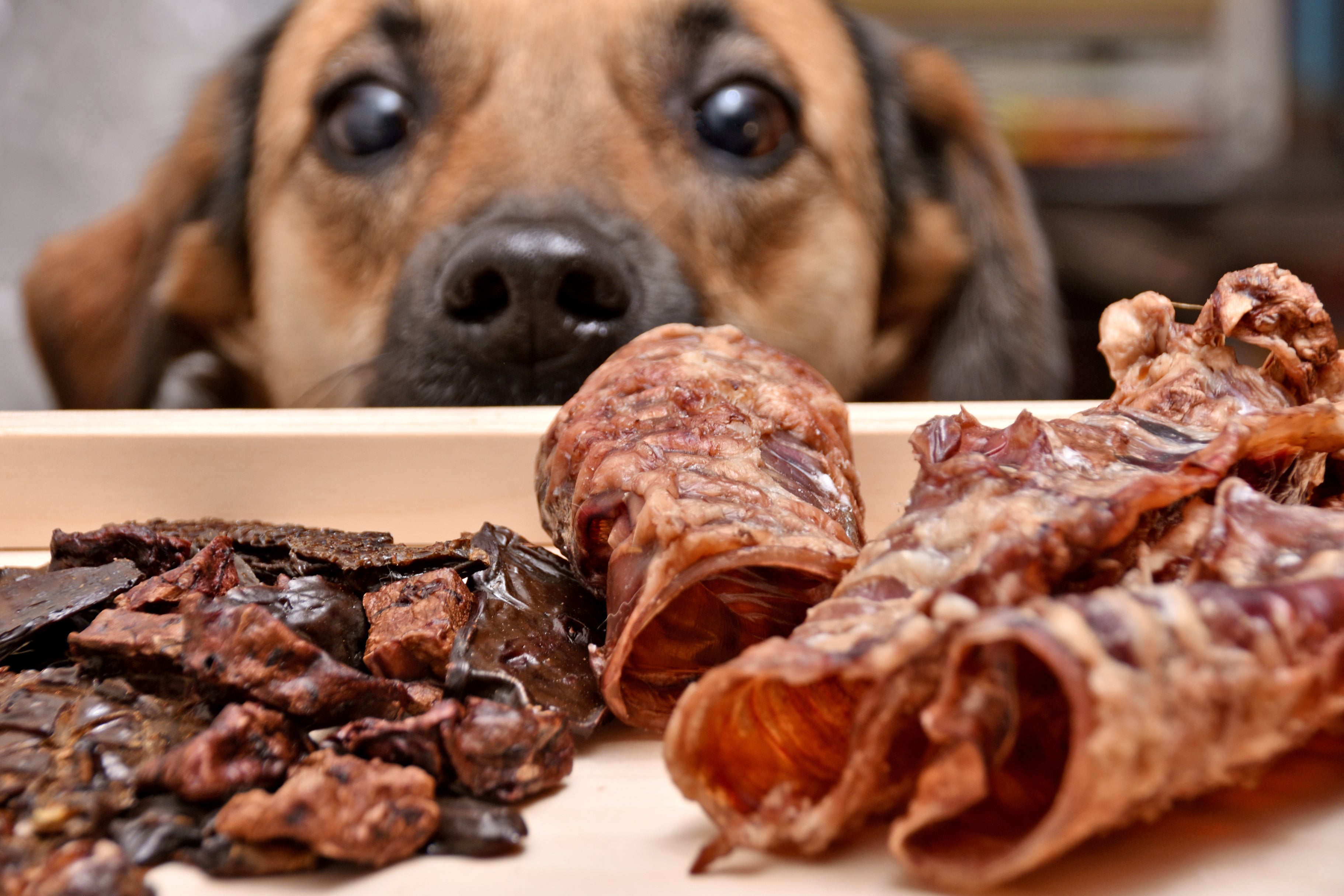 Natural raw dog treats and chews from T&T Pet Food